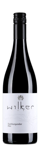 2020 Spätburgunder Rotwein trocken - Pfalz
