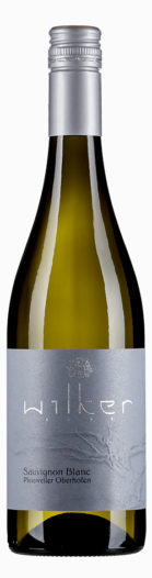 2023 Sauvignon Blanc trocken - Pleisweiler-Oberhofen